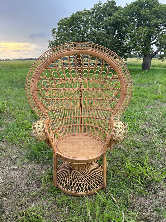 Peacock Chair